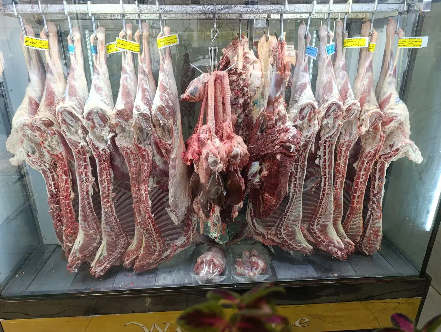 قصاب و قطعه بندی گوشت|استخدام خدمات فروشگاه و رستوران|اهواز, کوی آغاجاری|دیوار