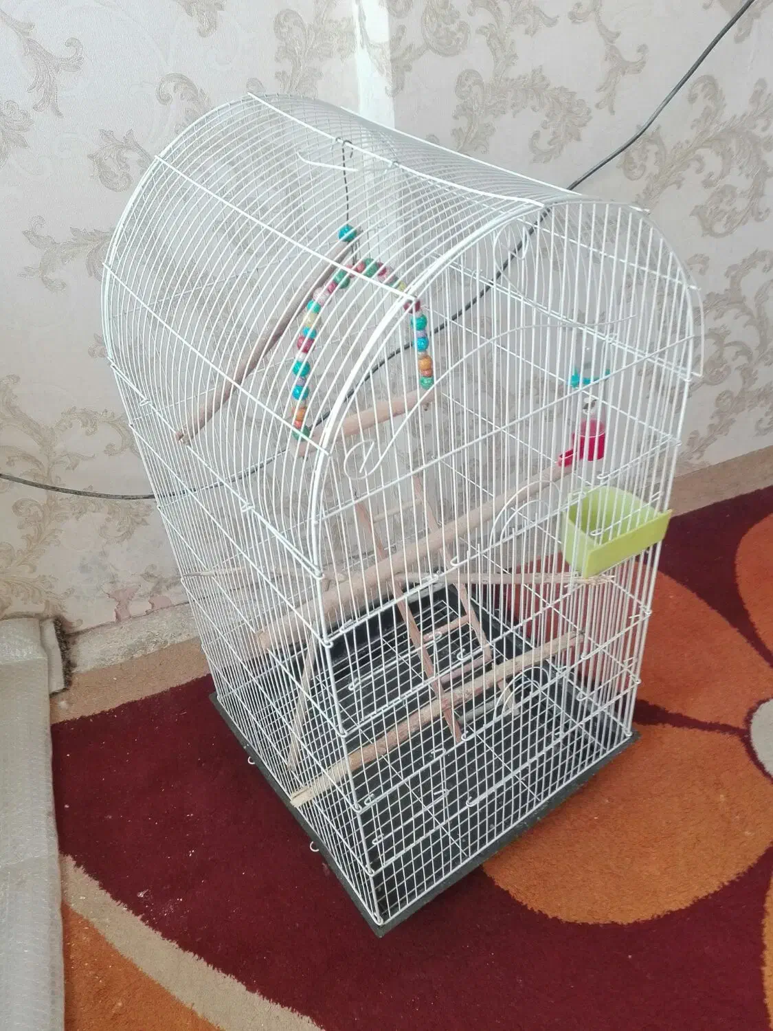 قفس زینتی بزرگ باتمام تجهیزات|لوازم جانبی حیوانات|فولادشهر, A2|دیوار