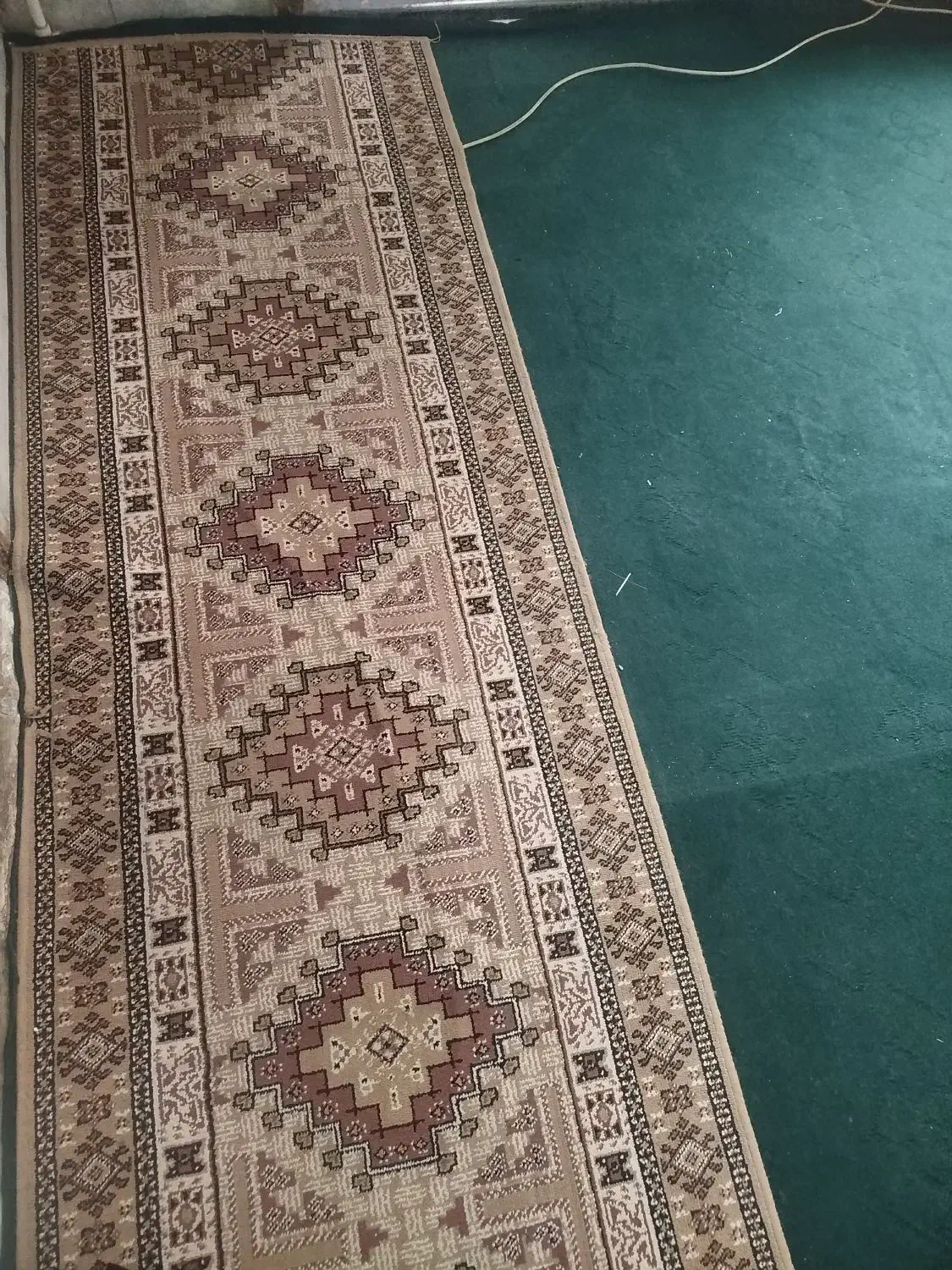 کناره گلیم|گلیم، جاجیم، گبه|کرمان, |دیوار