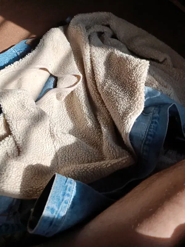 لباس گرم گرمکن گرمکن به سبک پیراهن|لباس|صدرا-فارس, فاز ۱|دیوار