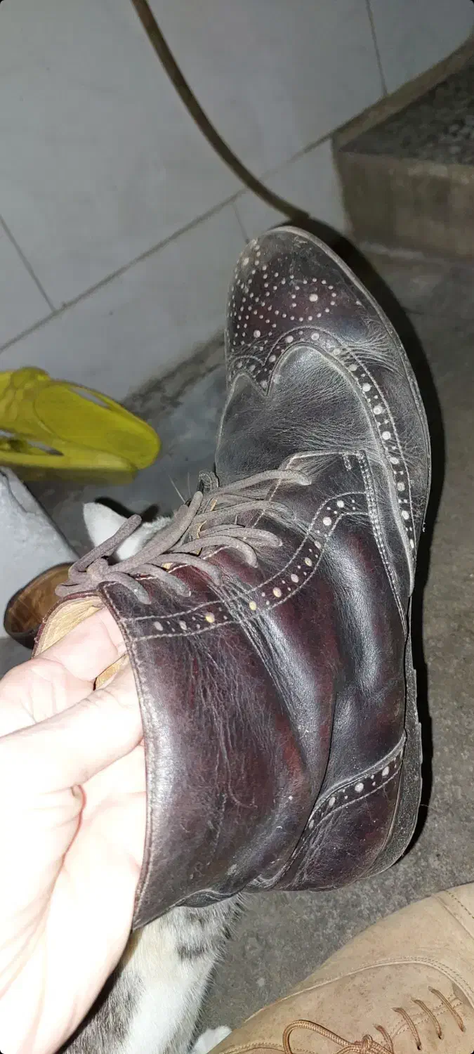دو جفت کفش چرم‌ اصلی|کیف، کفش، کمربند|بندر انزلی, آذربایجان|دیوار