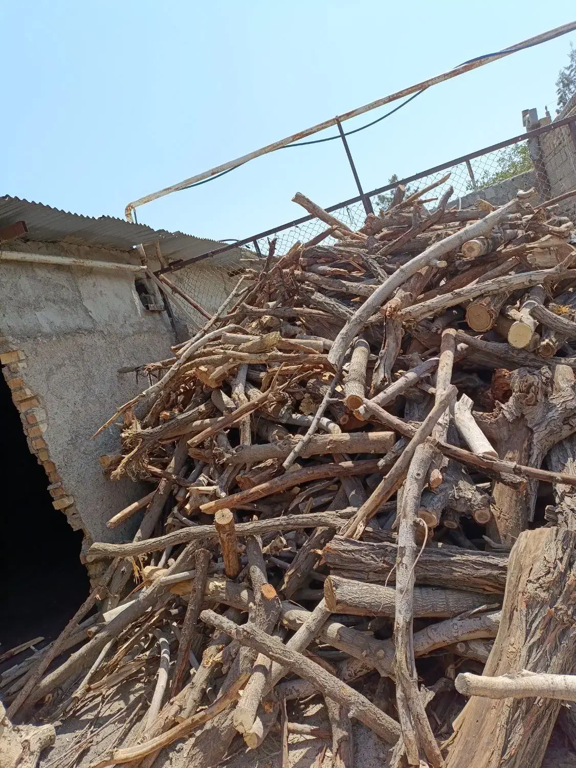 خریدار هرگونه چوب هرسی و....|خدمات باغبانی و درختکاری|شهریار, دهشاد بالا|دیوار