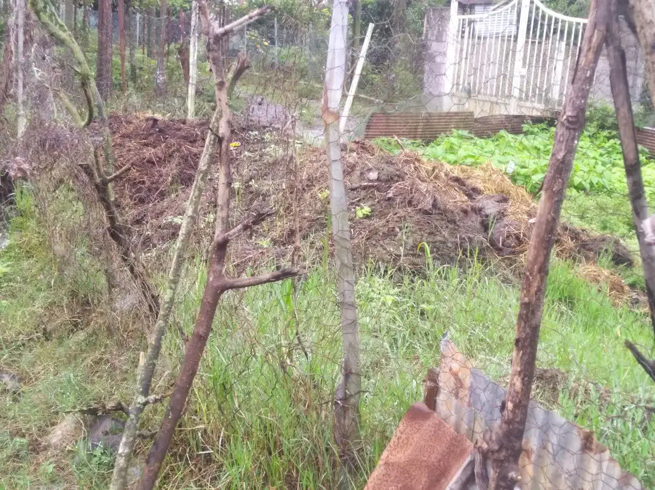 فروش کود حیوانی|لوازم جانبی حیوانات|رشت, آب و برق|دیوار