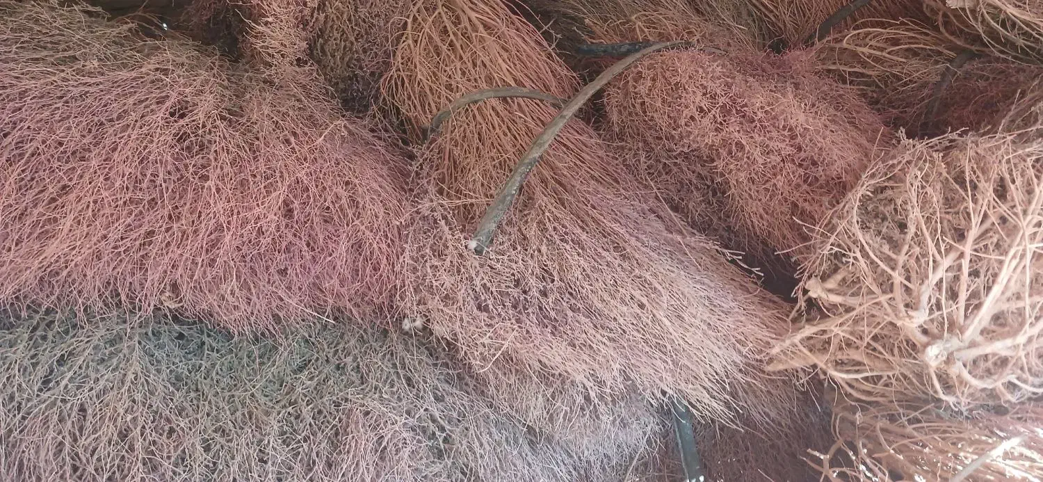 جارو|لوازم نظافت|اصفهان, پوریای ولی|دیوار