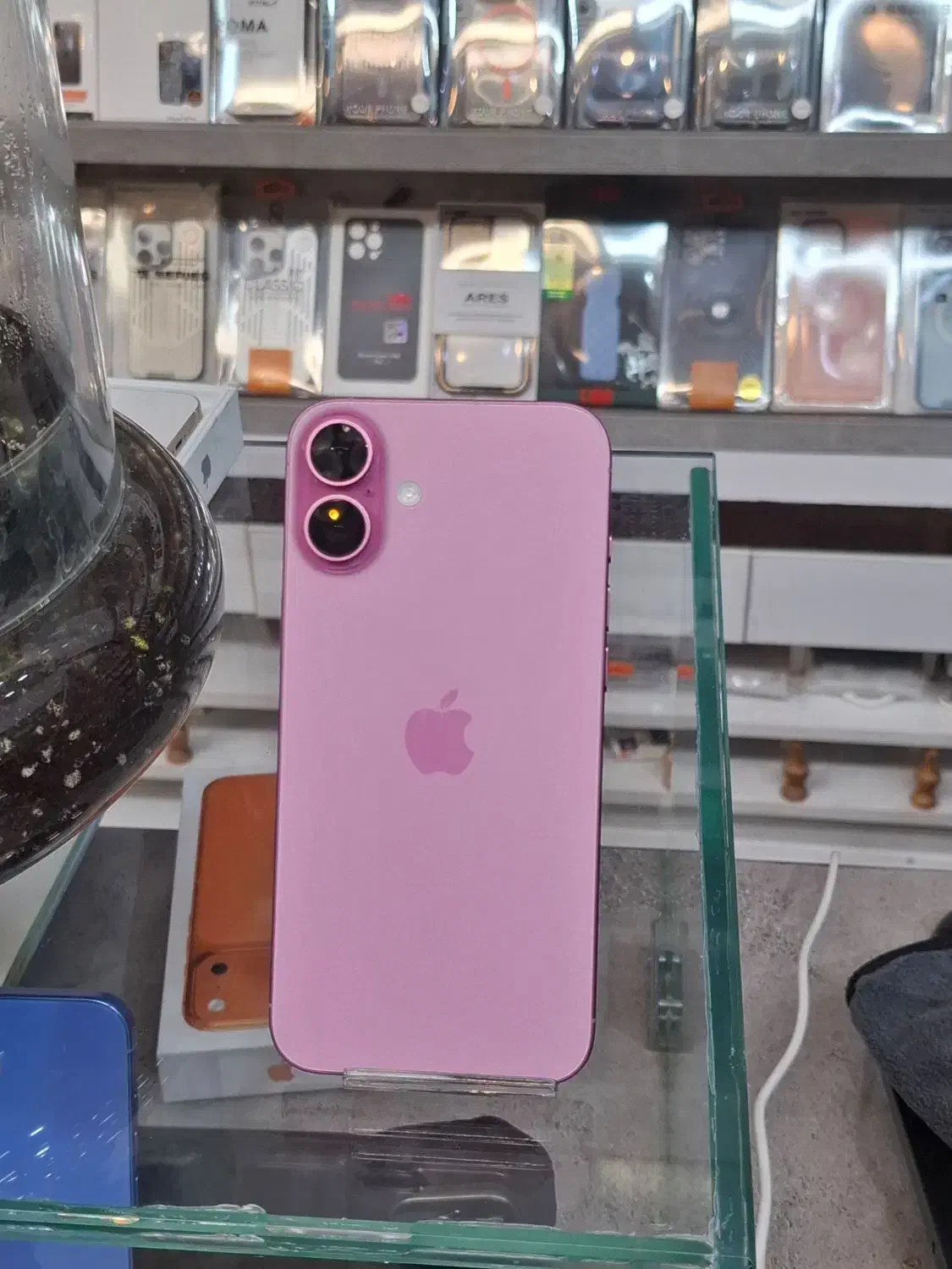 آیفون 16 پلاس|موبایل|قم, آلوچو|دیوار