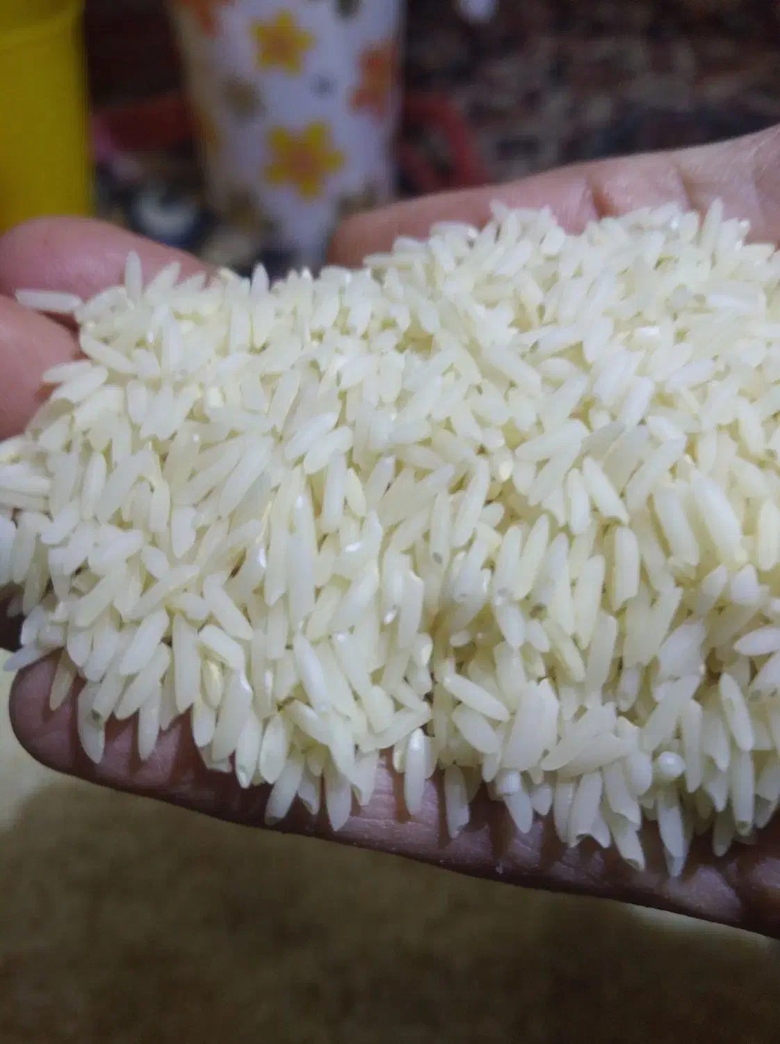 برنج دم‌سیاه اصل تضمینی|خوردنی و آشامیدنی|ویسیان, |دیوار