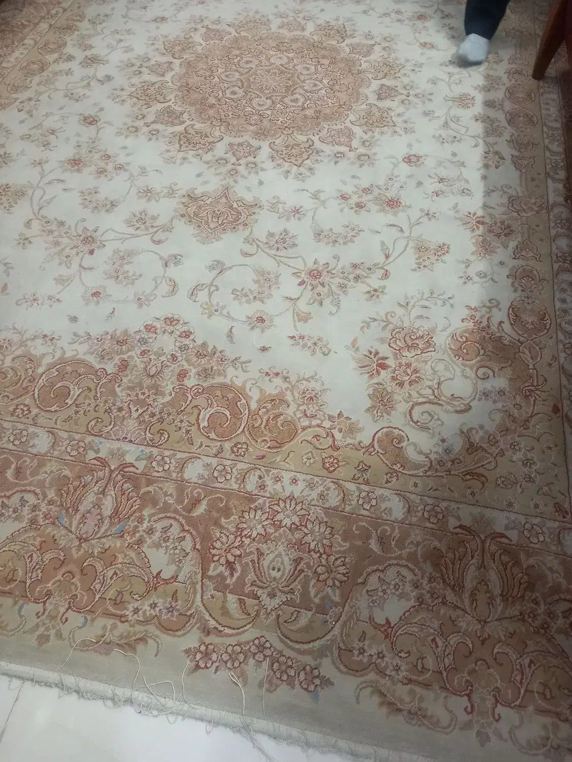 فرش  وقالیچه|فرش|لنگرود, |دیوار