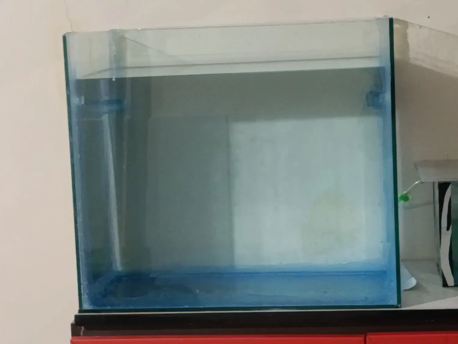 اکواریوم|ماهی|سراب, |دیوار