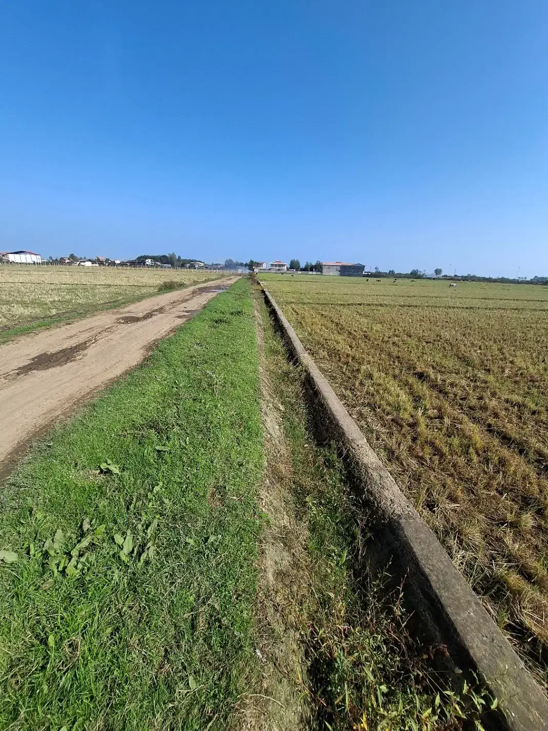 قطعه زمین املاک لوندویل|فروش زمین و ملک کلنگی|لوندویل, |دیوار