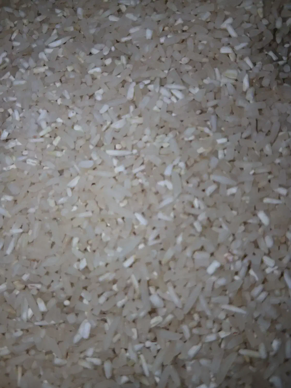 برنج|خوردنی و آشامیدنی|گلی داغ, |دیوار