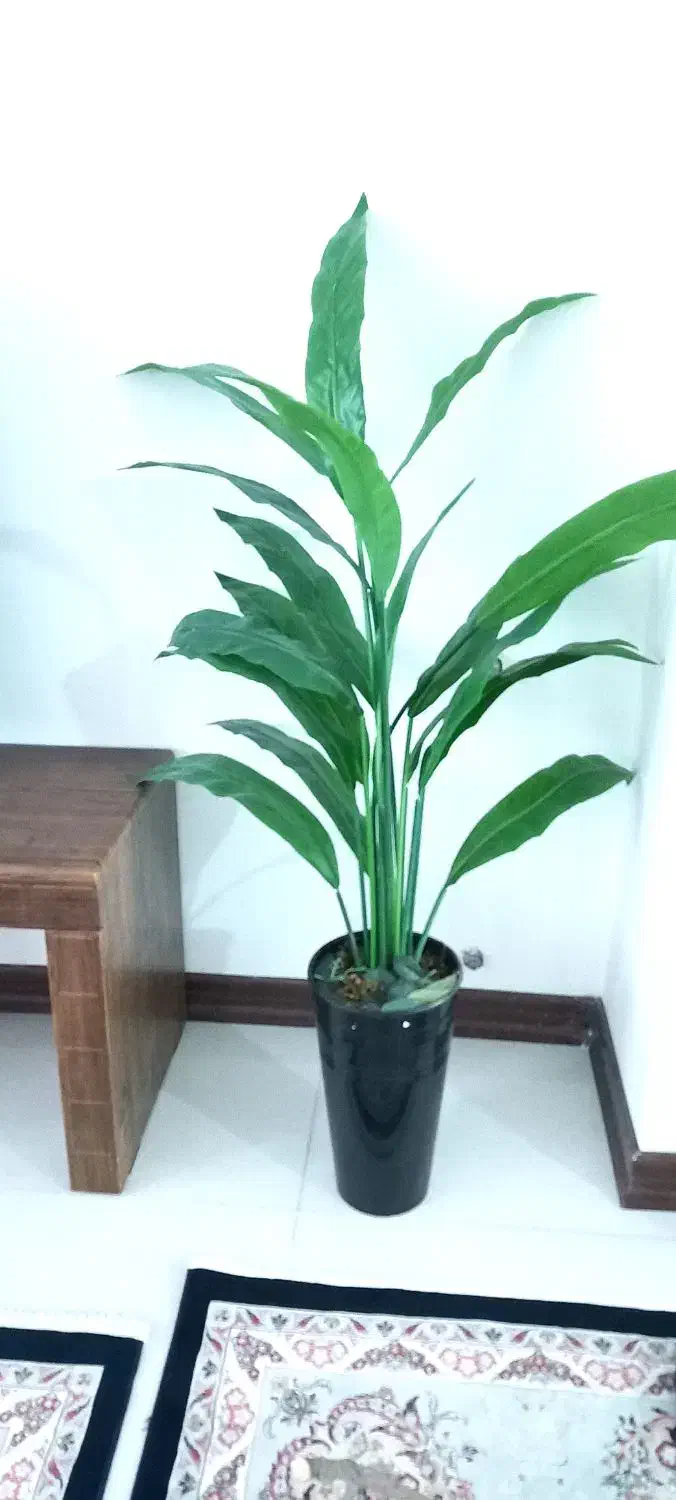 آباژور و درختچه|چراغ خواب و آباژور|زنجان, |دیوار