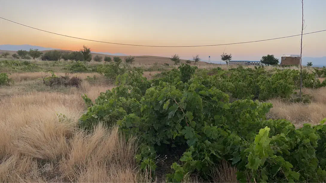 زمین ۸ هزار متری تک برگ سند|فروش زمین و ملک کلنگی|ابهر, |دیوار