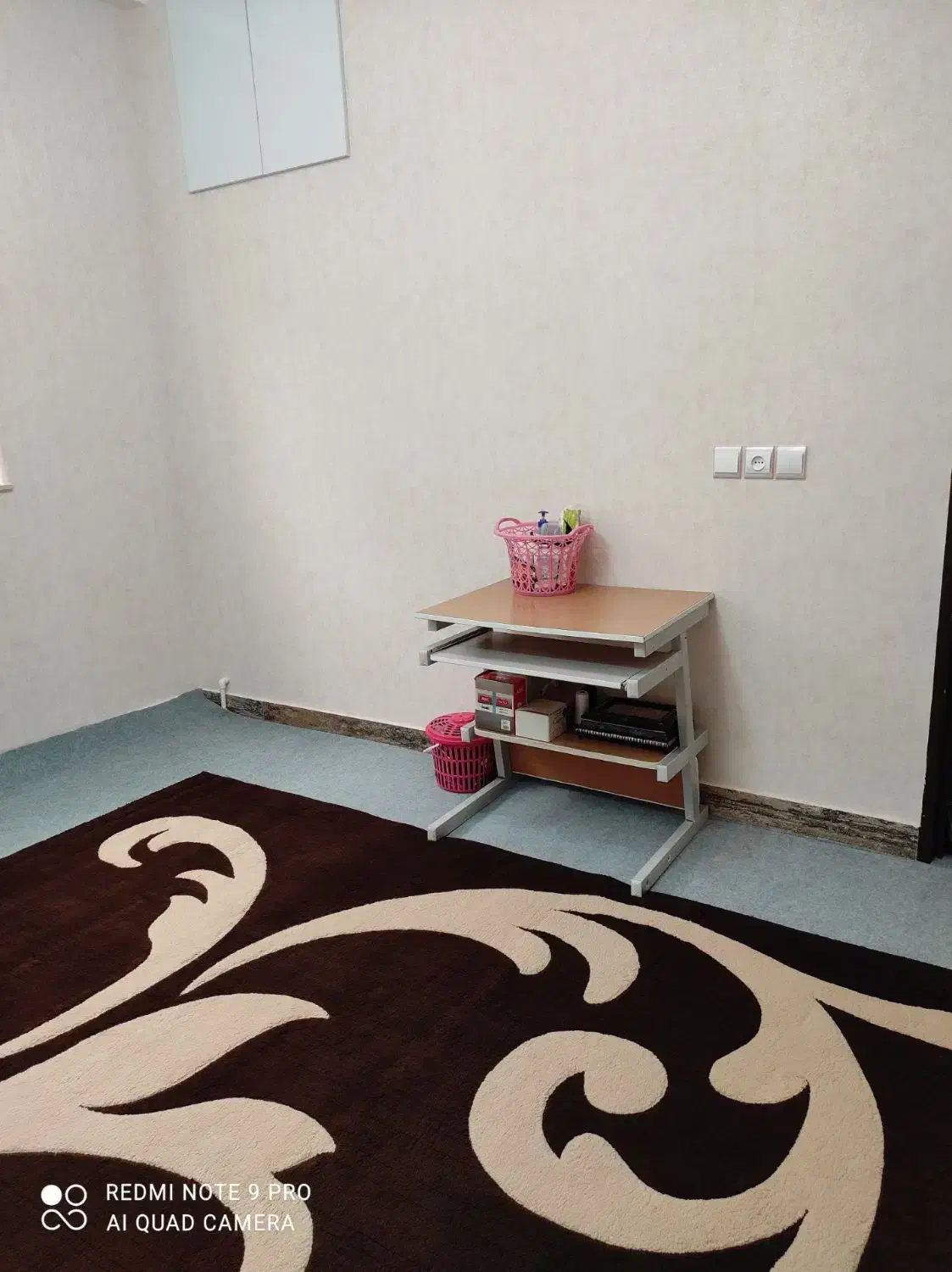 دو عدد گلیم با قیمت مناسب|گلیم، جاجیم، گبه|جاجرم, |دیوار