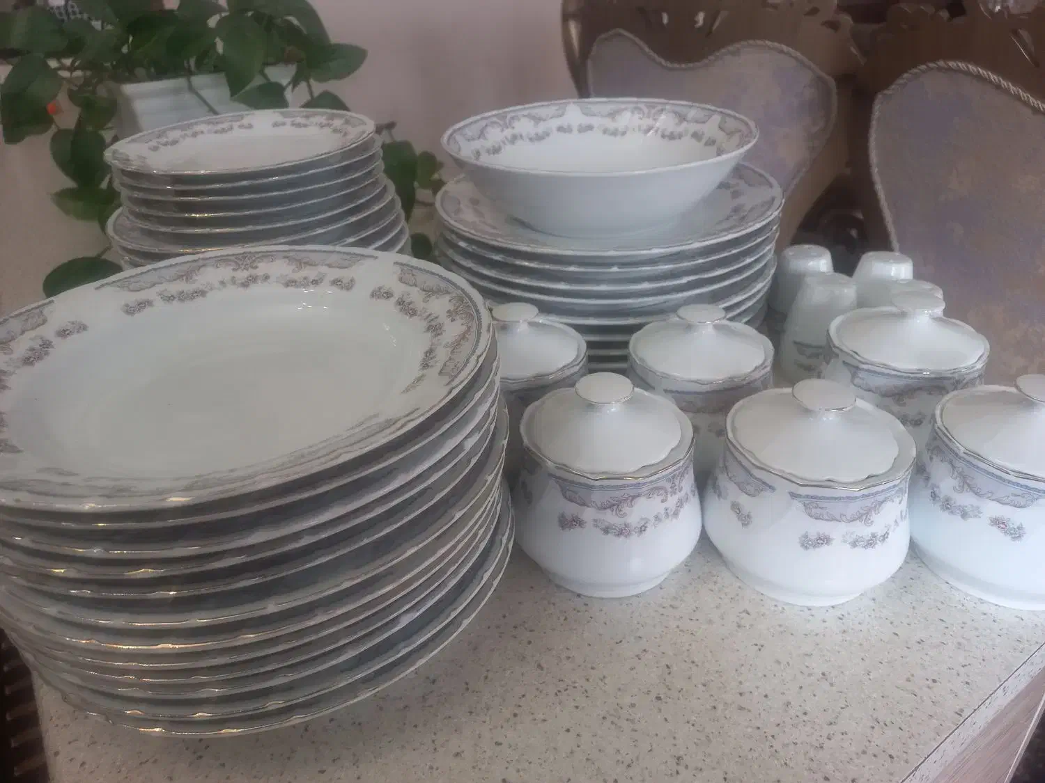 سرویس چینی طرح مرجان|ظروف سرو و پذیرایی|اردبیل, |دیوار