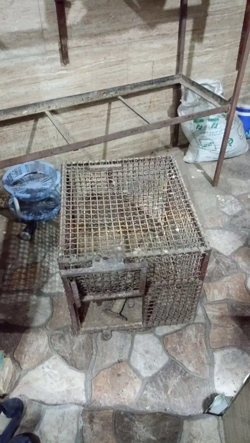 قفس آهنی|لوازم جانبی حیوانات|قم, سید معصوم|دیوار