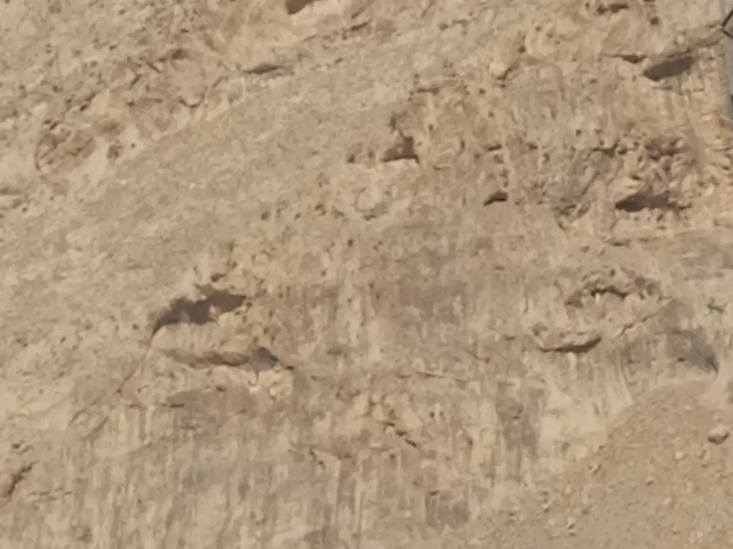 زمین شهرک صنعتی زاگرس|فروش زمین و ملک کلنگی|کرمانشاه, |دیوار