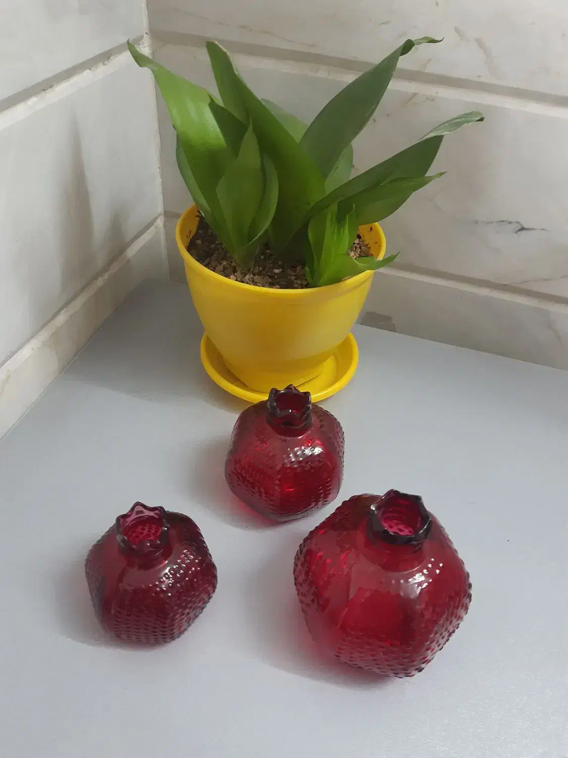 دکری|مجسمه، تندیس، ماکت|قم, انسجام|دیوار