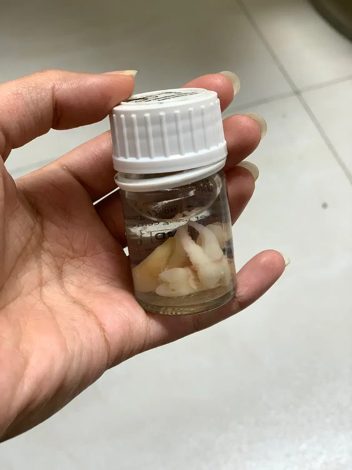 دندان های ۴ و ۵|پزشکی|رشت, جهاد|دیوار