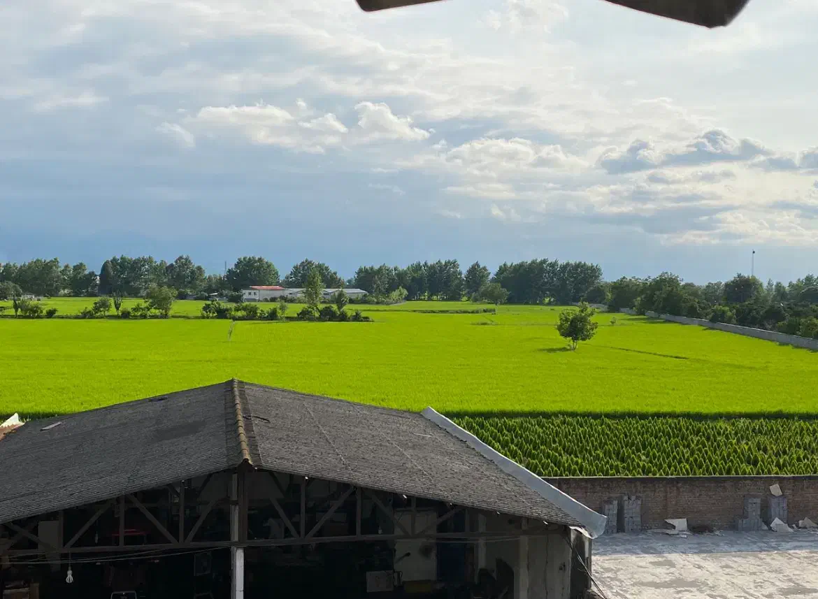 فروش ملک تجاری مسکونی|فروش دفتر صنعتی، کشاورزی، تجاری|آمل, |دیوار