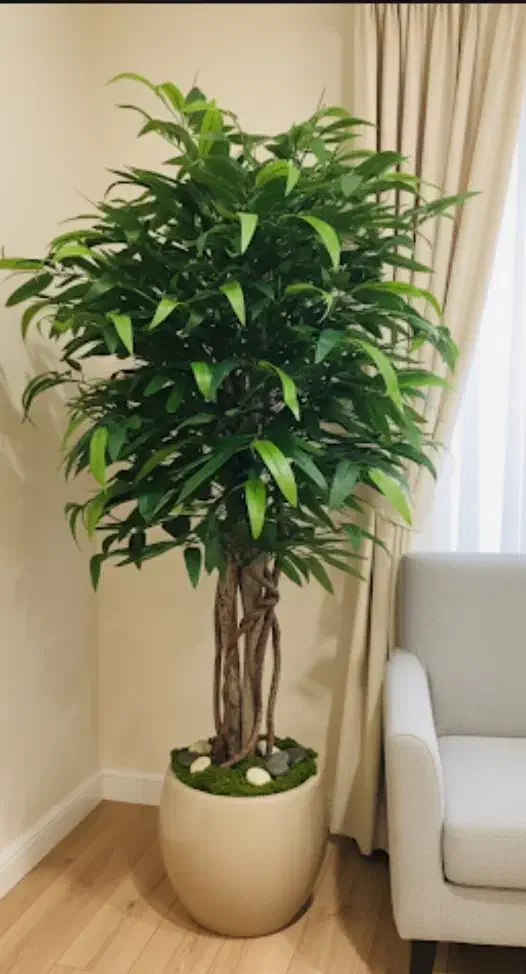 درختچه مصنوعی|گل مصنوعی|پرند, فاز ۴|دیوار