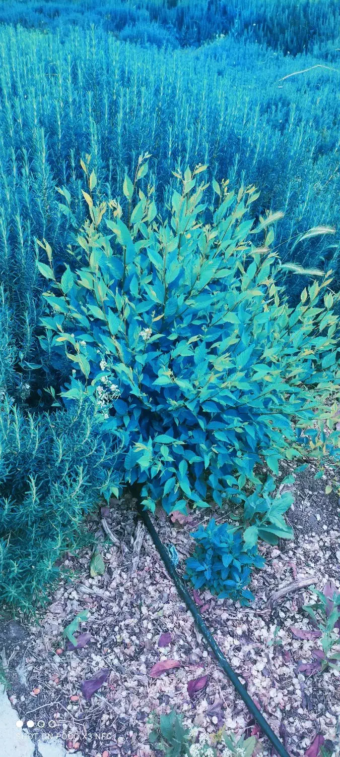 ختم و  نماز ‌ و روزه برای   اموات|فعالیت داوطلبانه|زاهدان, |دیوار