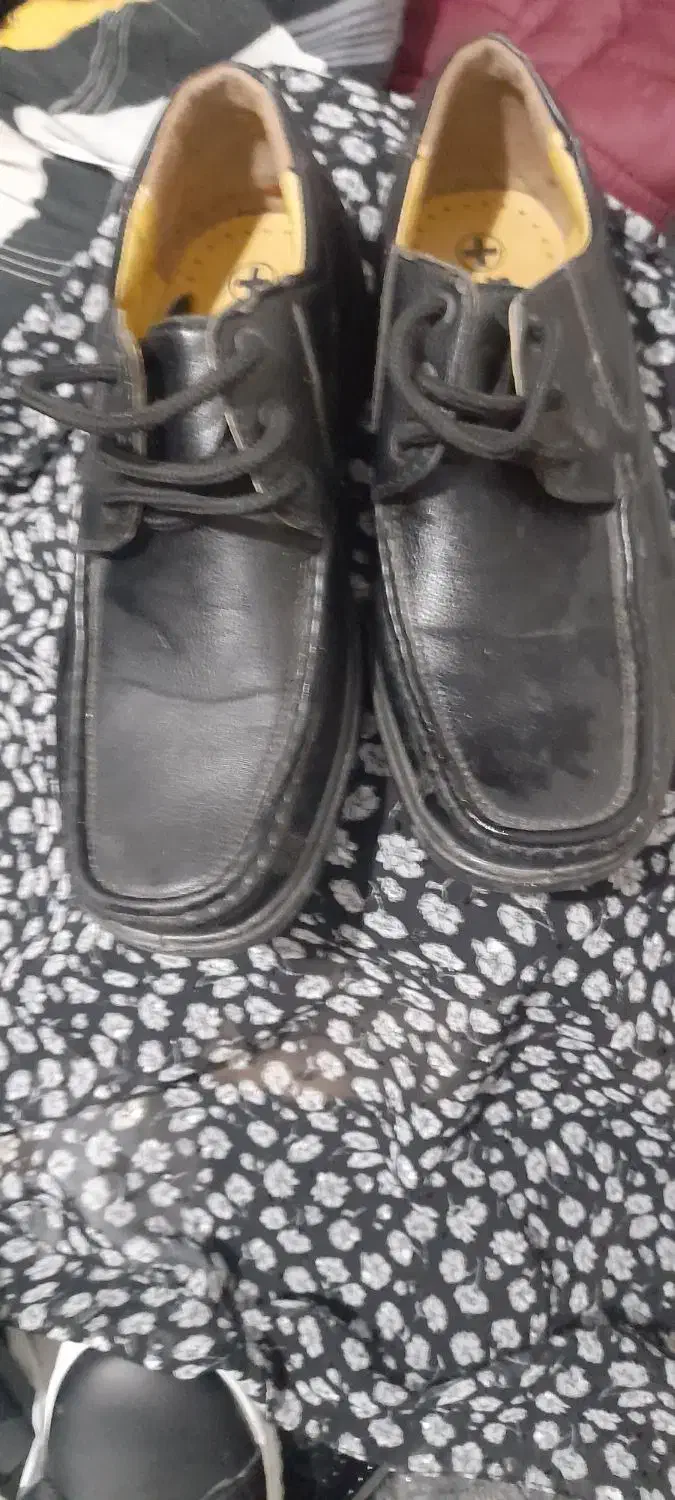 کفش مردانه|کیف، کفش، کمربند|شیراز, شهدای شهرک سعدی|دیوار