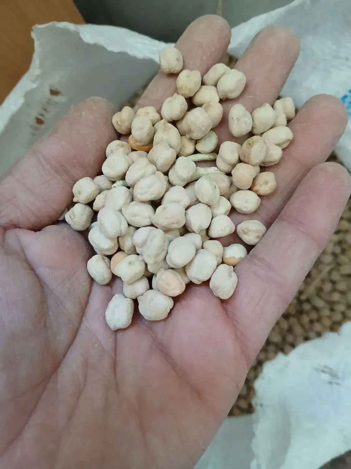 نخود عدس گندم ذرت کشمش|خوردنی و آشامیدنی|بروجرد, |دیوار