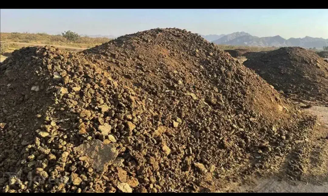 کود گوسفندی|لوازم جانبی حیوانات|نی‌ریز, |دیوار