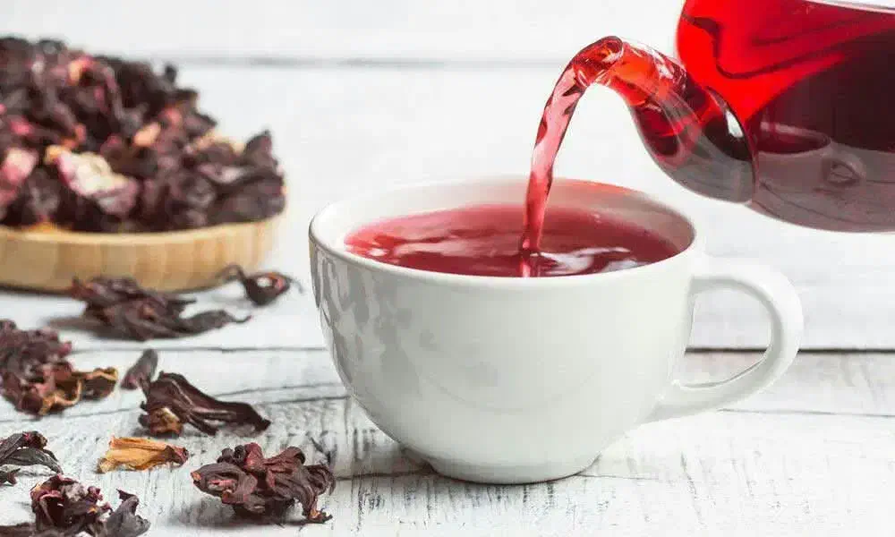 آموزش مزاج شناسی و گیاه شناسی|خدمات آموزشی|کرمان, |دیوار