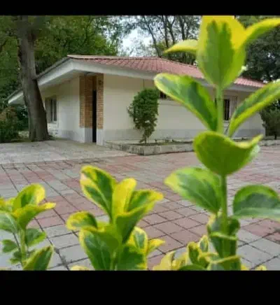 یه کیف کارت مشکی زیپ دار گم شده|اشیا|سنندج, |دیوار