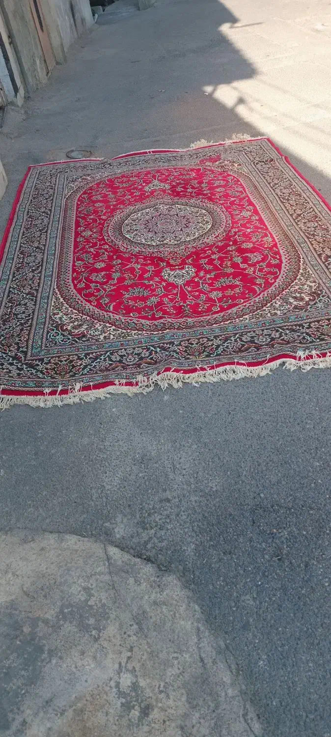 سلام فرش تمیزو سالم|فرش|گرگان, |دیوار