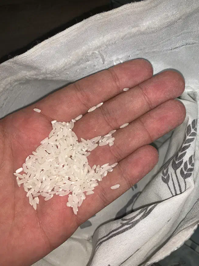 برنج محلی کشت امسال|خوردنی و آشامیدنی|اندیمشک, |دیوار