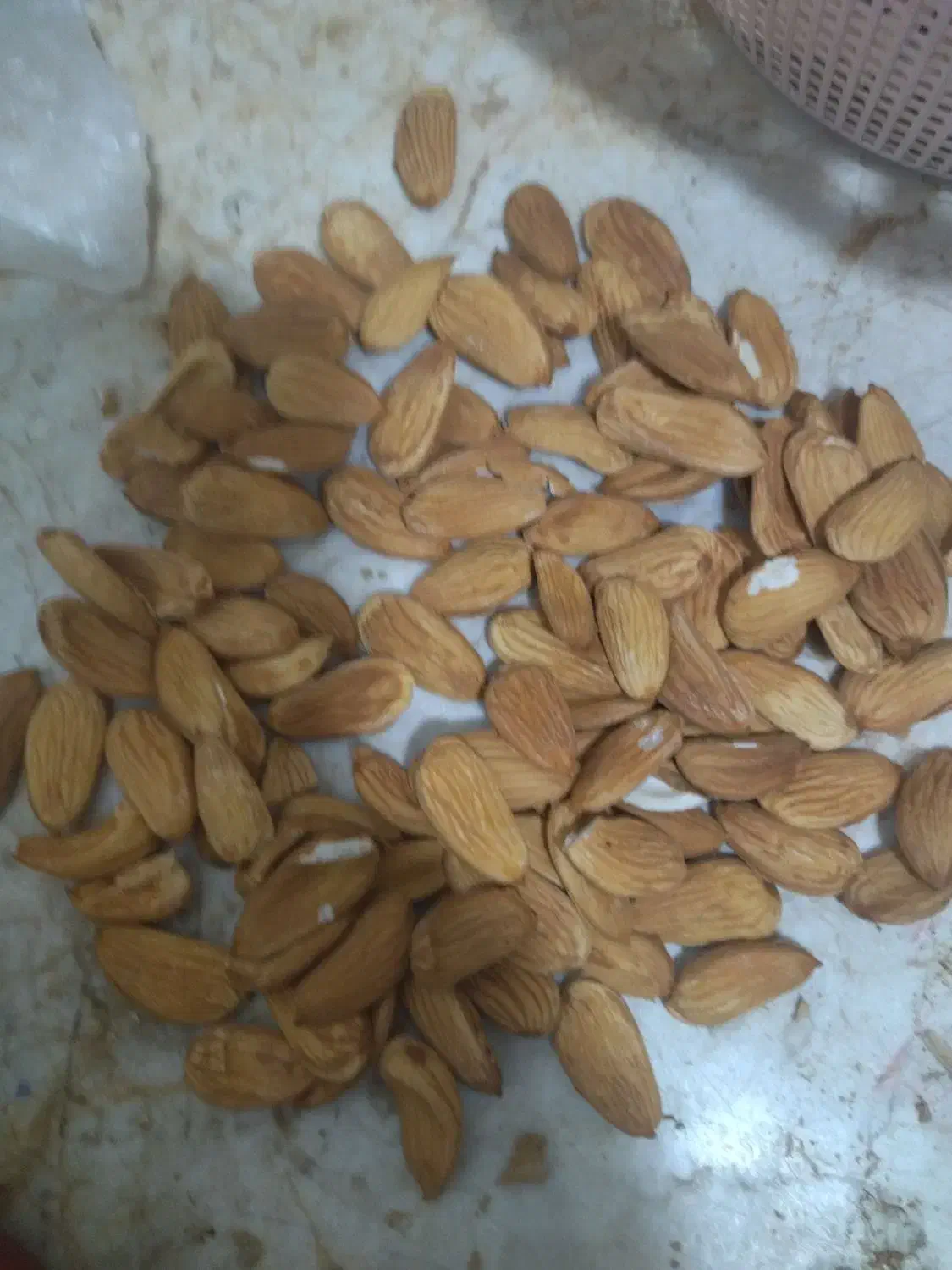 خریدوفروش انواع بادام|خوردنی و آشامیدنی|شیراز, دروازه اصفهان|دیوار