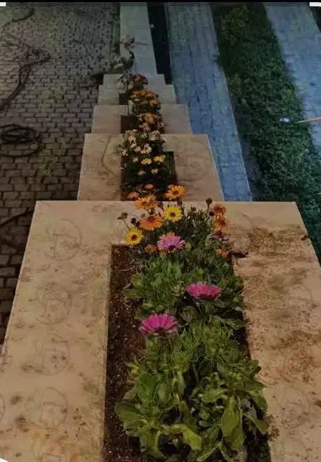 خدمات باغبانی و سم پاچی|خدمات باغبانی و درختکاری|قم, هفت تیر|دیوار