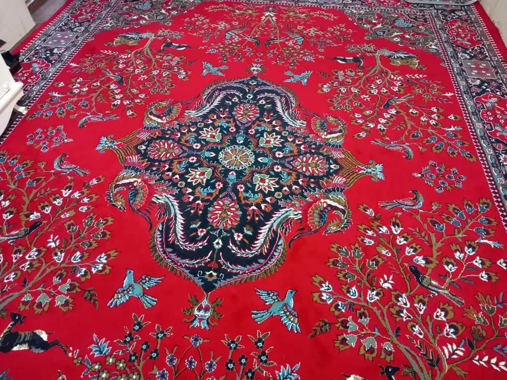 فرش ۱۲متری  ۷۰۰شانه ماشینی|فرش|رشت, دیلمان|دیوار