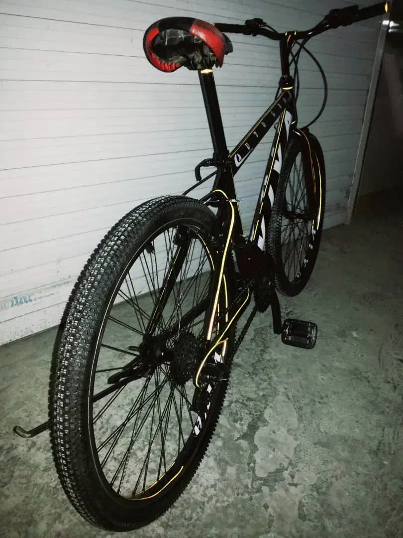 دوچرخه|دوچرخه، اسکیت، اسکوتر|راور, |دیوار