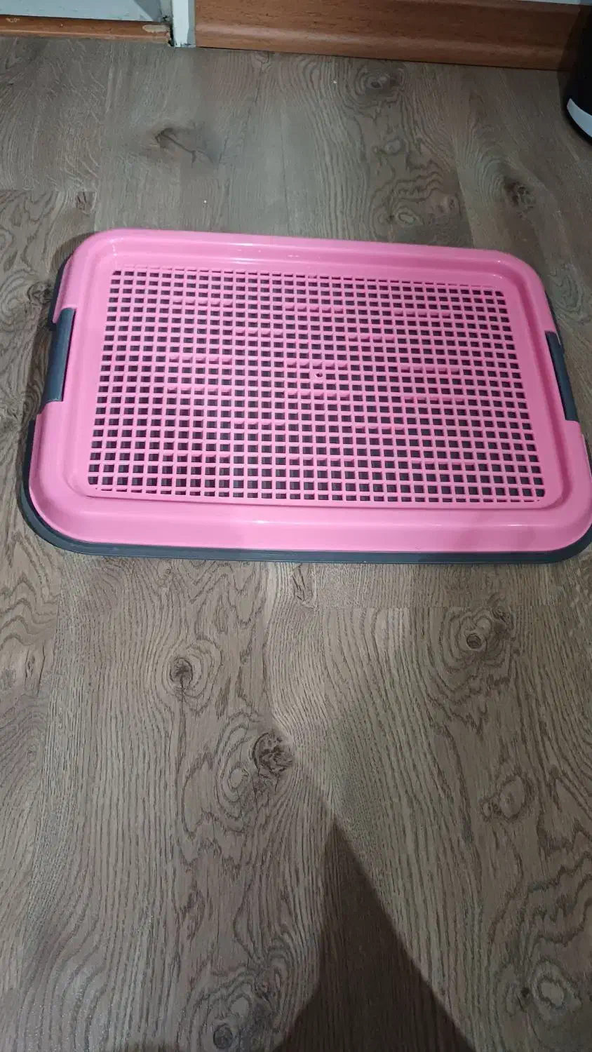 لوازم های  سگ در حد نو نو|لوازم جانبی حیوانات|تهران, مولوی|دیوار