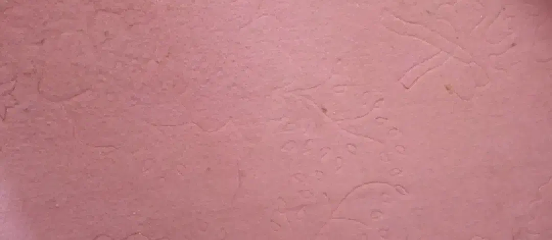 موکت|موکت|سده (خراسان جنوبی), |دیوار