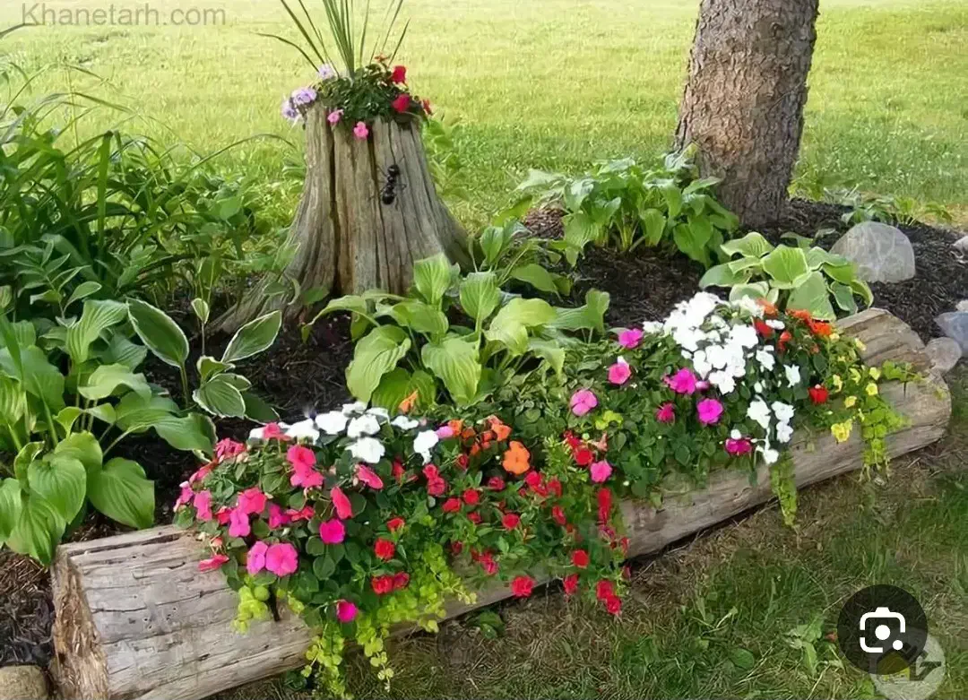 شهرک چمرا- ماهشهر|خدمات باغبانی و درختکاری|بندر ماهشهر, |دیوار