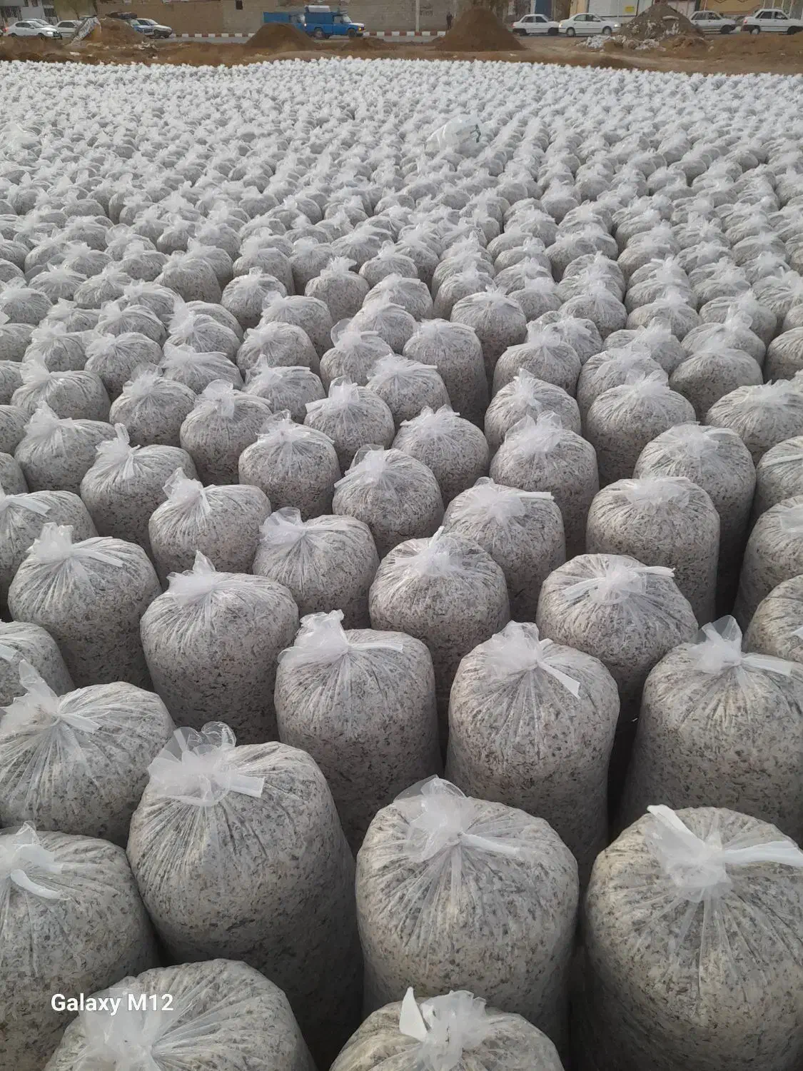 فروش تفاله چغندر وسیب وعلوفه|حیوانات مزرعه|چهاربرج, |دیوار