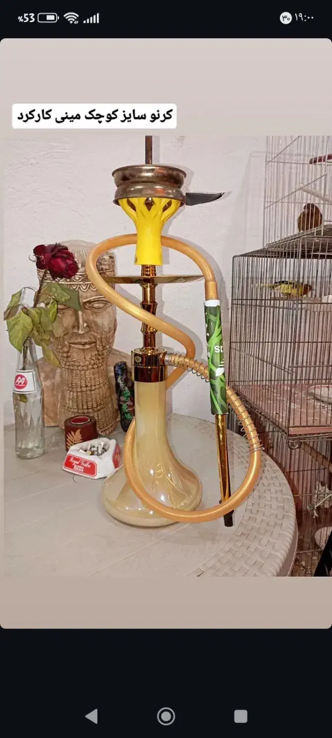 قلیان آلمانی کرنو|کلکسیون و سرگرمی|هشتگرد, هیو|دیوار