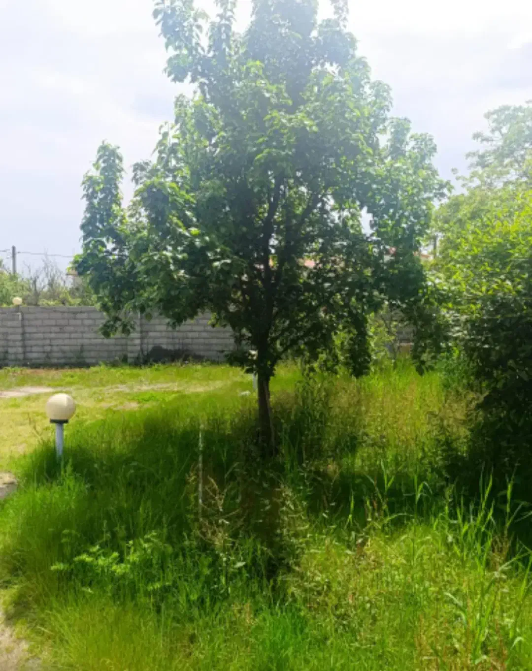 فروش ویلا ۷۱۰متر زمین ۱۵۰ متر بنا سند تک برگ|فروش خانه و ویلا|رضوانشهر, |دیوار