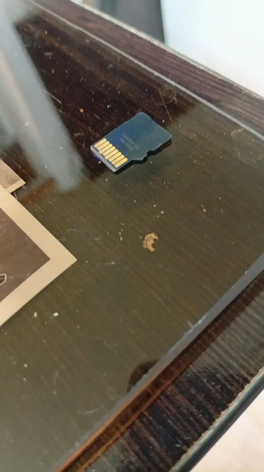 رم ۳۲ گیگ|لوازم جانبی موبایل و تبلت|بندر انزلی, اطبا|دیوار