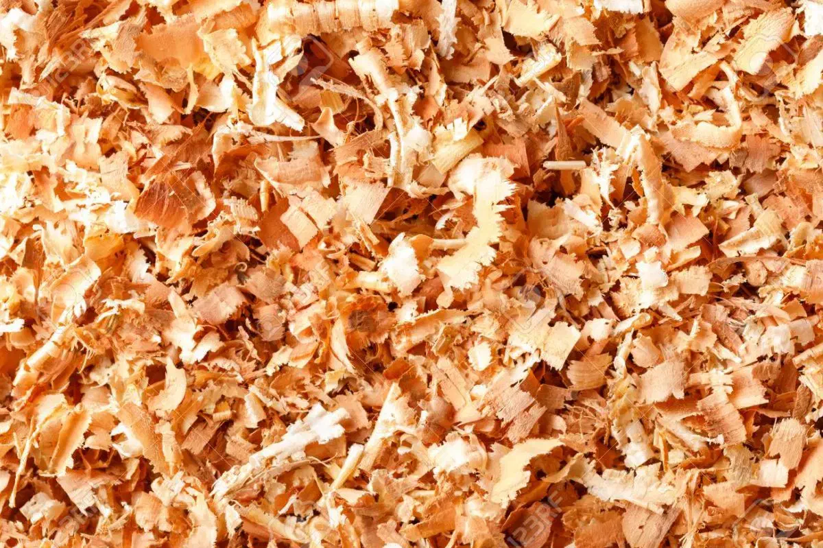 فروش پوشال و خاک اره|عمدهفروشی|قائمشهر, |دیوار