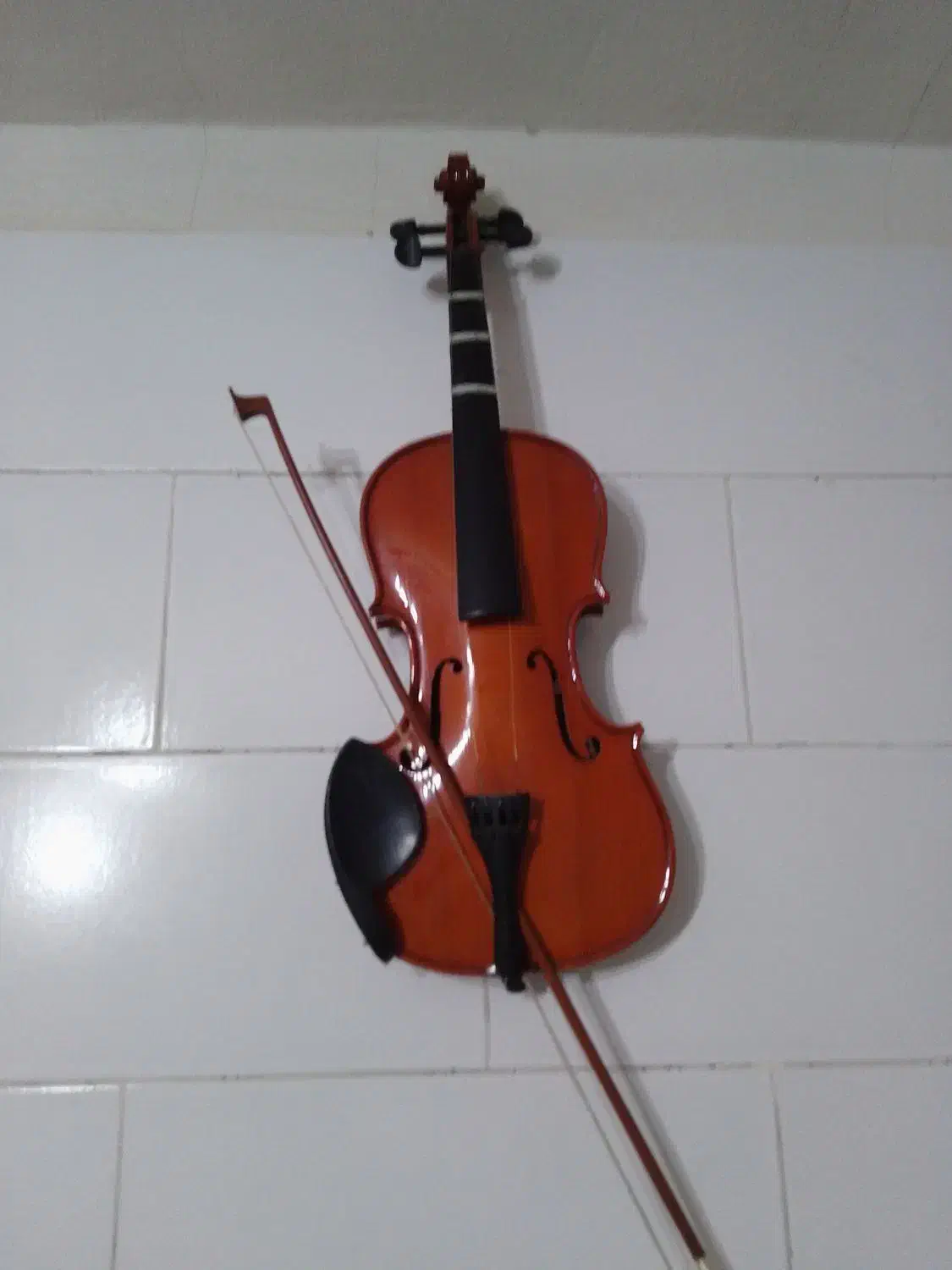 ویولن|ویولن|یزد, |دیوار