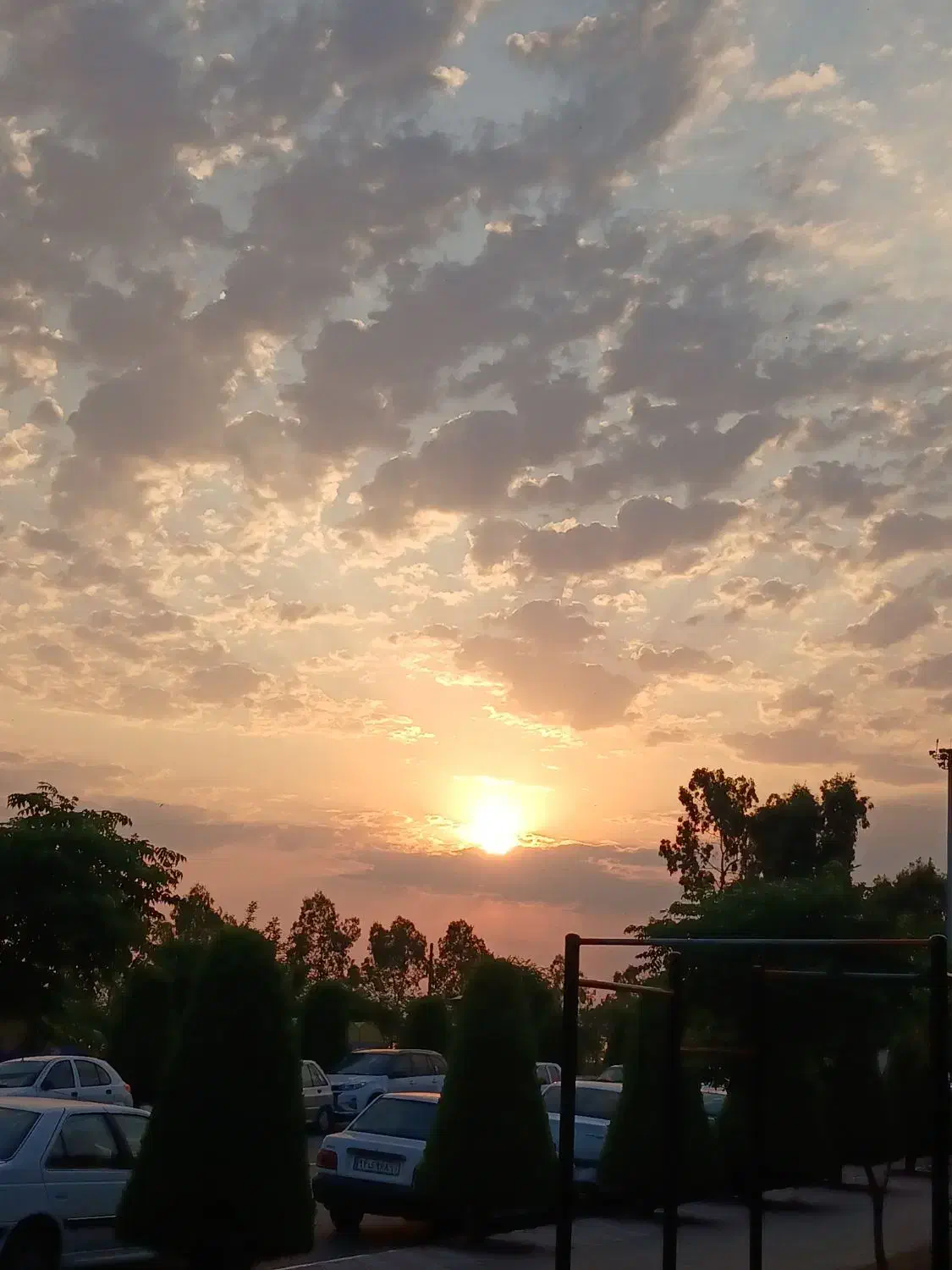 تراکت پخش کن خانم و آقا|استخدام بازاریابی و فروش|تهران, میدان ولیعصر|دیوار