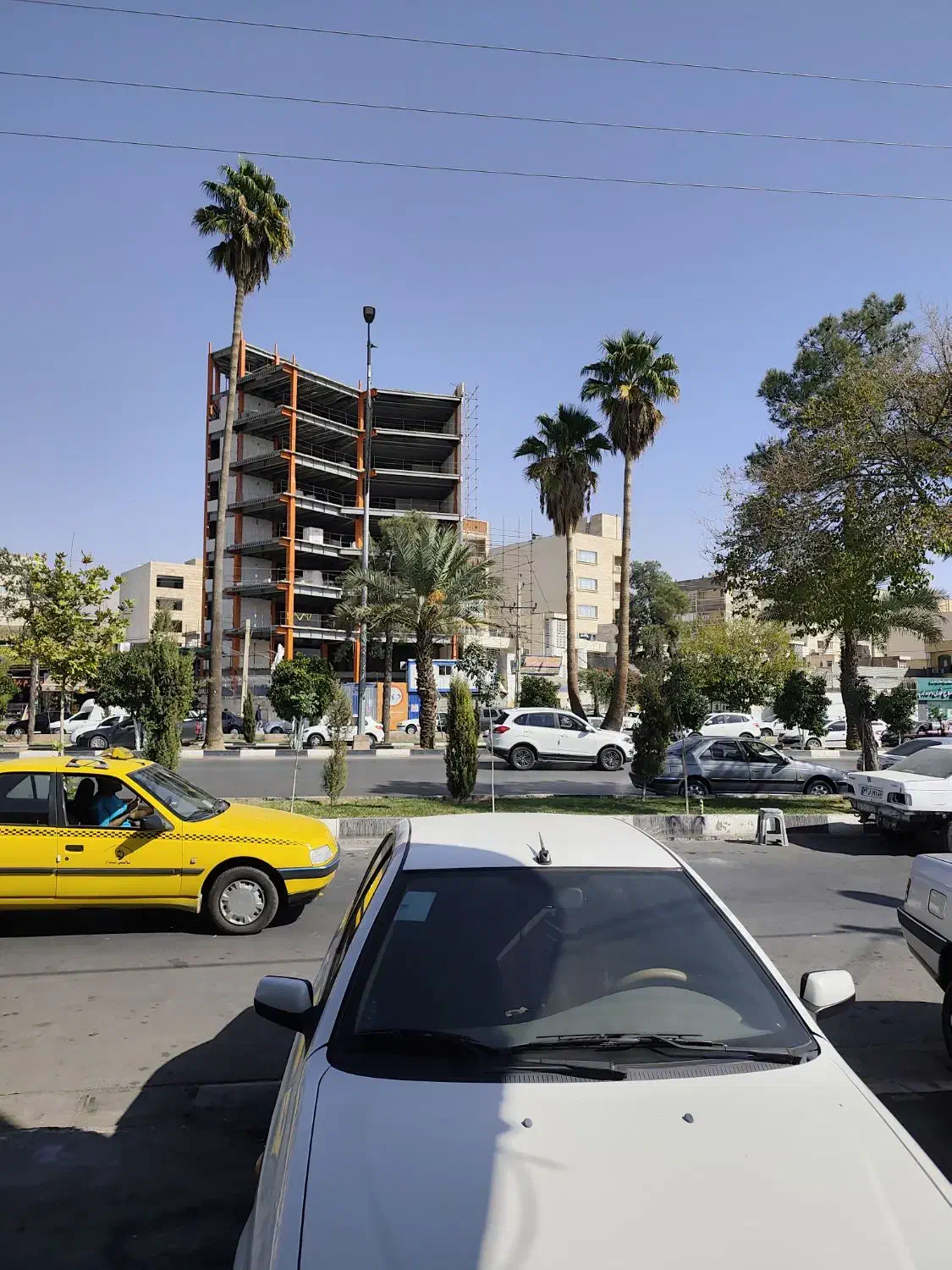 کیف گمشده|اشیا|شیراز, شهرک بهار|دیوار