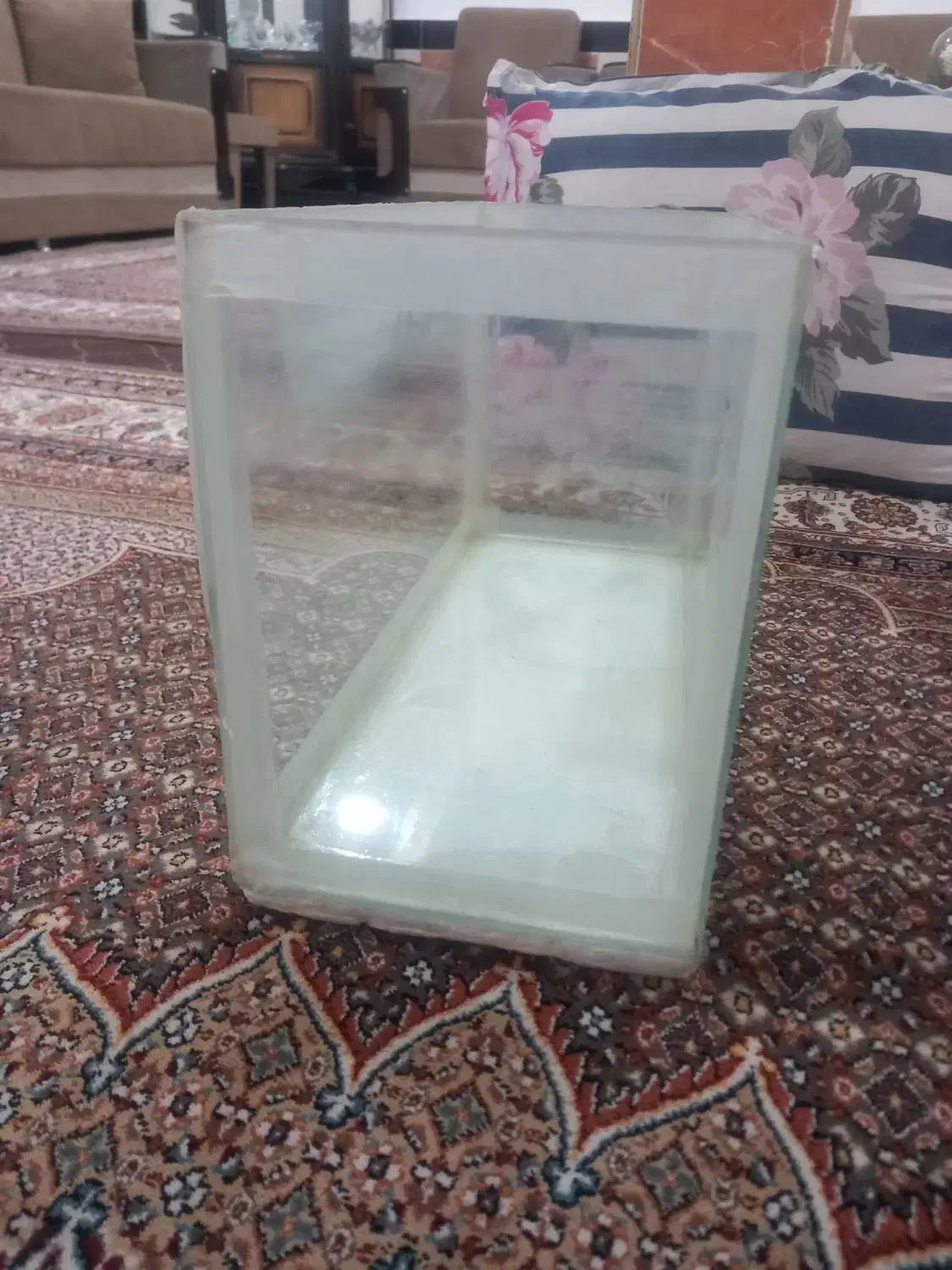 اکواریوم .|ماهی|مرند, |دیوار