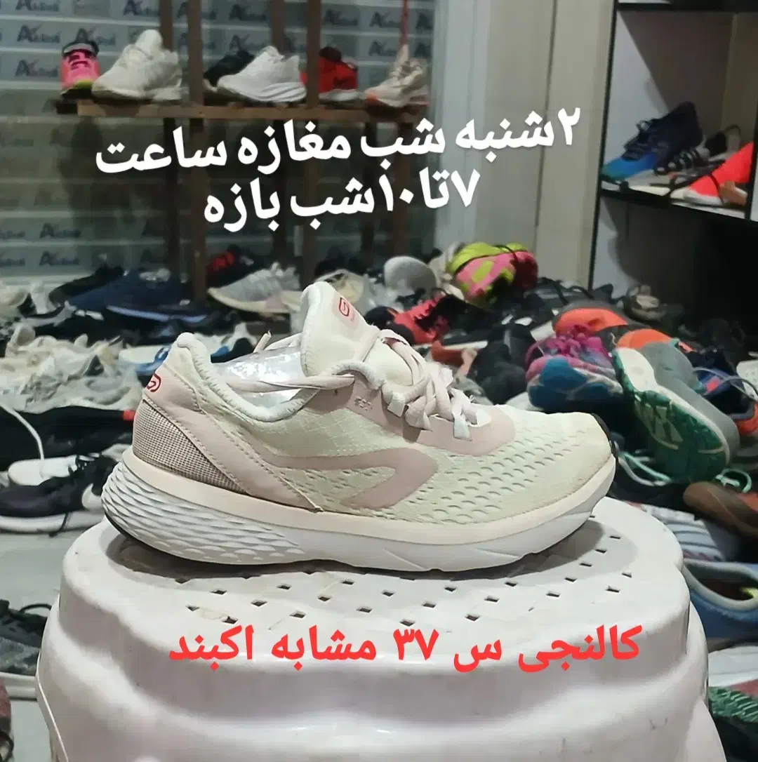 کفش تاناکورا|کیف، کفش، کمربند|کرمانشاه, |دیوار