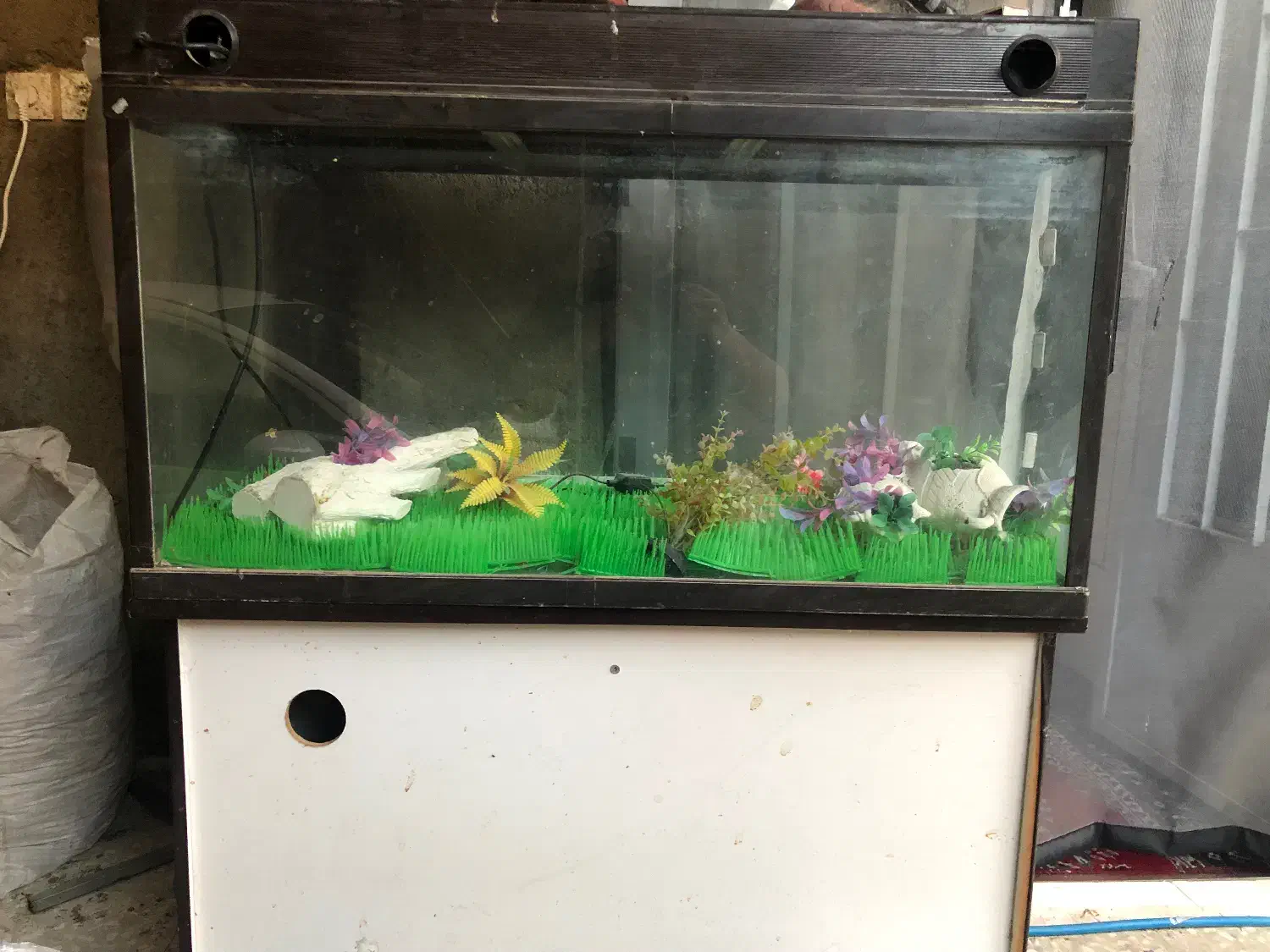 آکواریوم|ماهی|دلیجان, |دیوار